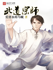 武道宗师封面图片