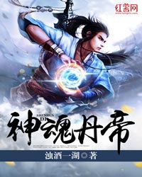 神魂丹帝封面图片