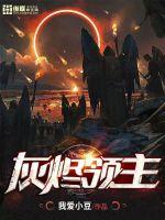 灰烬领主封面图片