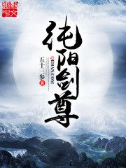 纯阳剑尊封面图片