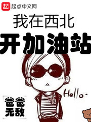 我在西北开加油站封面图片