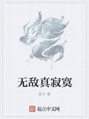 无敌真寂寞封面图片