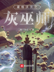 霍格沃茨之灰巫师封面图片
