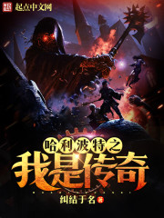 哈利波特之我是传奇封面图片