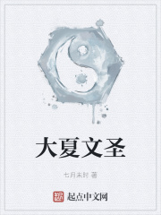 大夏文圣封面图片
