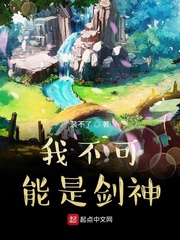 我不可能是剑神封面图片