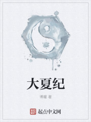 大夏纪封面图片