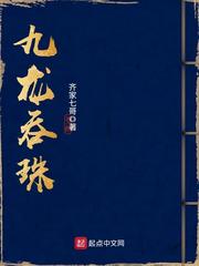 九龙吞珠封面图片
