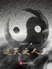 遮天之人王封面图片