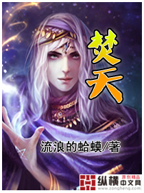 焚天封面图片