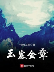玉宸金章封面图片
