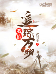 我能追踪万物封面图片