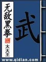 无敌黑拳封面图片