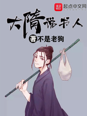 大隋说书人封面图片