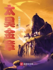 太昊金章封面图片