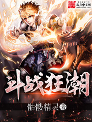斗战狂潮封面图片