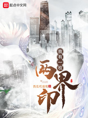我有一枚两界印封面图片