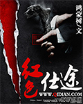 红色仕途封面图片