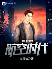 腾飞我的航空时代封面图片
