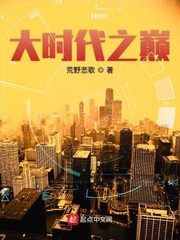 大时代之巅封面图片