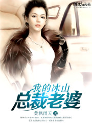 我的冰山总裁老婆封面图片