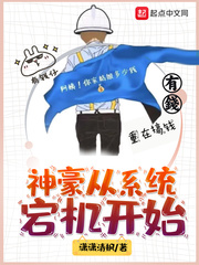 神豪从系统宕机开始封面图片