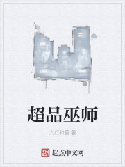 超品巫师封面图片