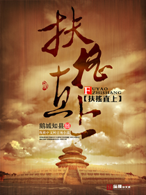 扶摇直上封面图片