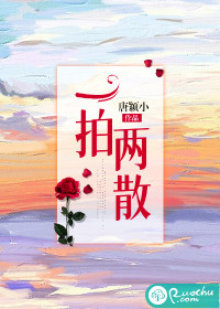 一拍两散封面图片