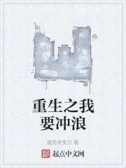 重生之我要冲浪封面图片