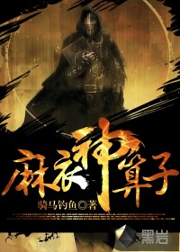 麻衣神算子封面图片