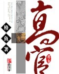 高官封面图片