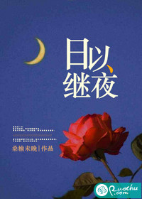 日以继夜封面图片