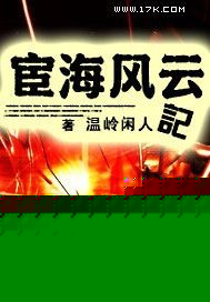 宦海风云记封面图片