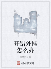开错外挂怎么办封面图片