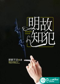 明知故犯封面图片