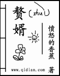 赘婿封面图片