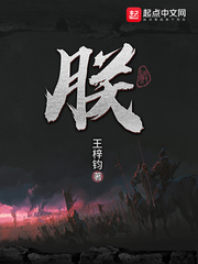 朕封面图片