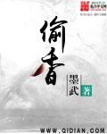 偷香封面图片