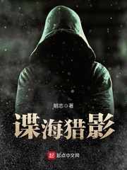 谍海猎影封面图片