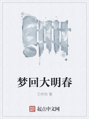 梦回大明春封面图片