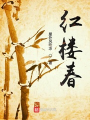 红楼春封面图片