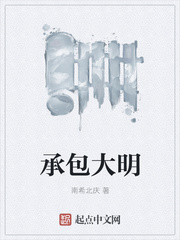 承包大明封面图片