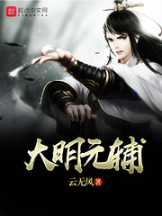 大明元辅封面图片