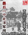 最后一个北洋军阀封面图片