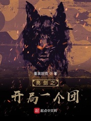 亮剑之开局一个团封面图片