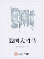 战国大司马封面图片