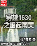 穿越1630之崛起南美封面图片