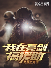 我在亮剑搞援助封面图片