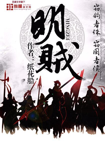 明贼封面图片